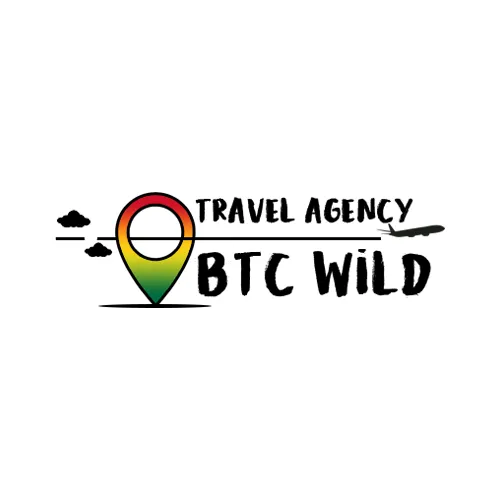 Nemanja Smiljic | Portfolio | Btcwild